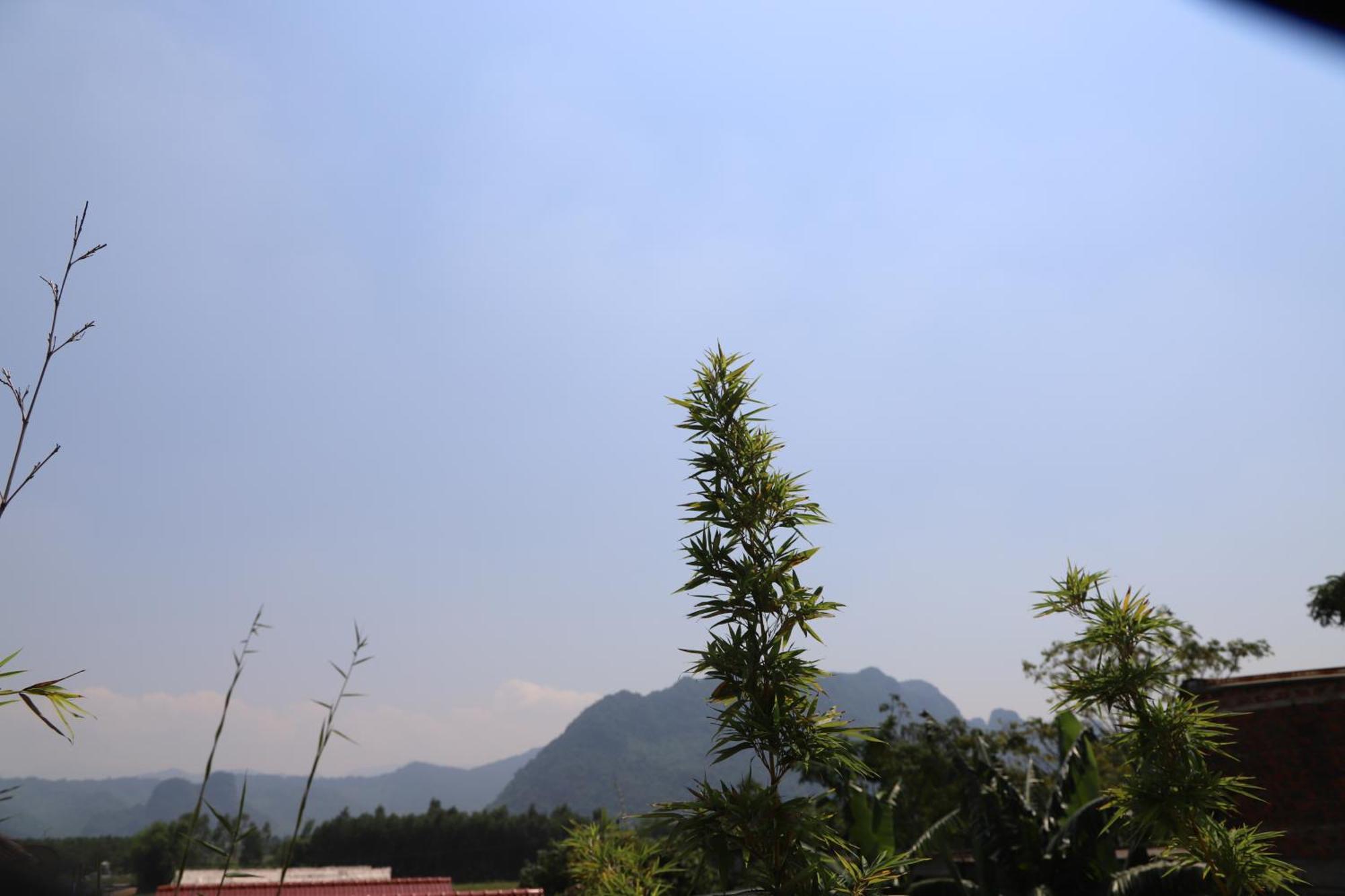 Phong Nha Friendly Home Luaran gambar